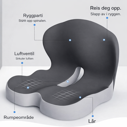 Ergonomisk Ryggstøttepute