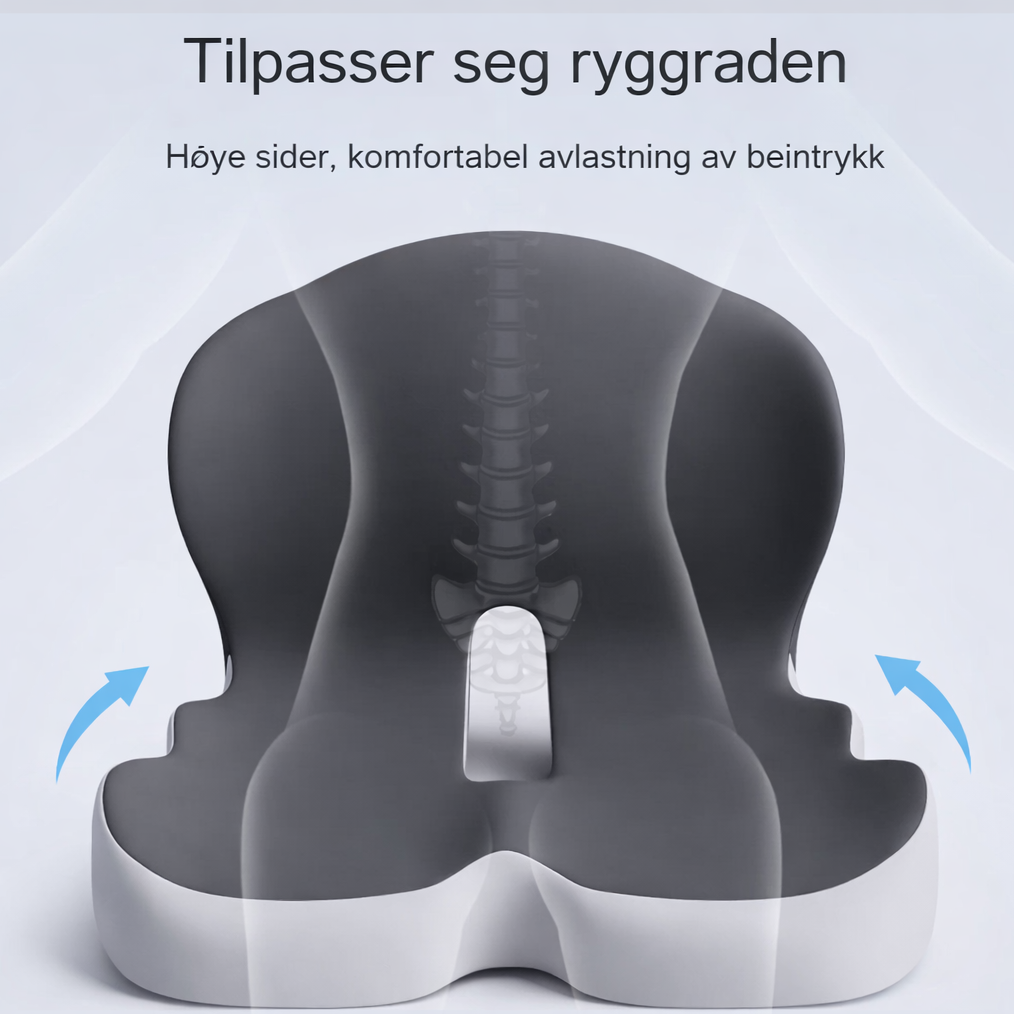 Ergonomisk Ryggstøttepute