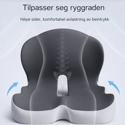Ergonomisk Ryggstøttepute